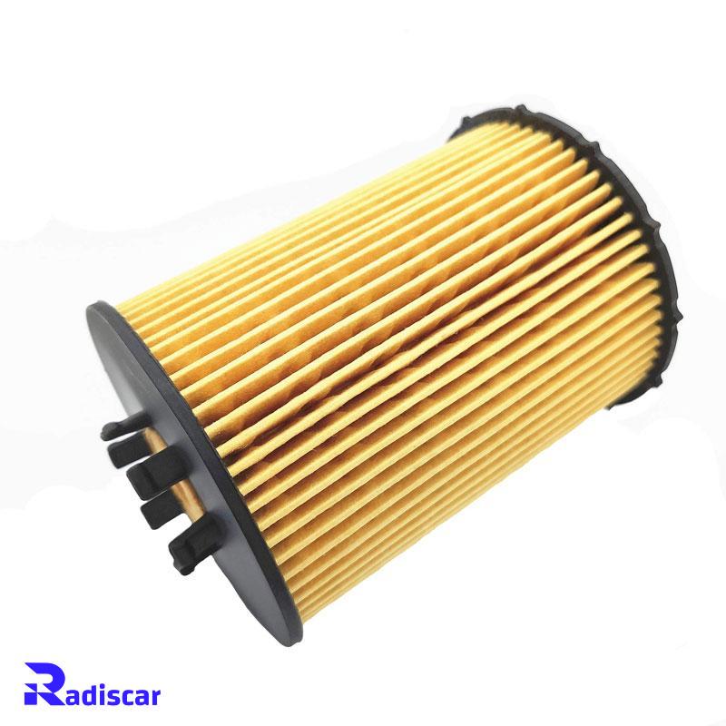 فيلتر روغن بی ام و (E60)X5(E70)-7(E65)-5 برند Hengst کد E203H04D67