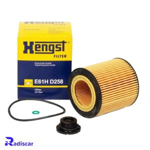 فیلتر روغن بی ام و (باپیچ) موتور N20 برند Hengst کد E61HD258