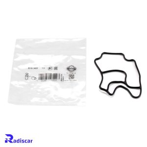 اورینگ فیلترروغن بی ام و 3(E46)-7(E65)-X3(E83) برند Elring کد 816.965