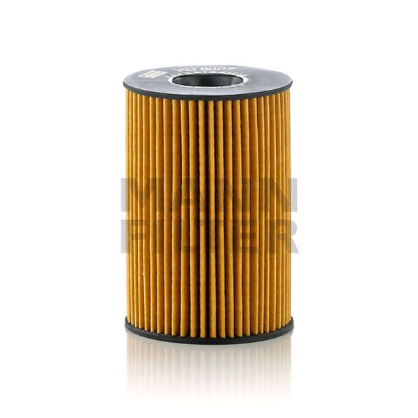 فیلتر روغن بی ام و سری 5-6-7-X5-X6 برند Mann کد HU8007z